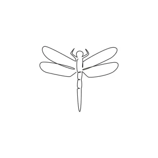 Beauty dragonfly Elegant Dragonfly in One Line: A Simple Art Activity for Observation Skills