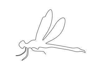 Cute dragonfly Cute Dragonfly Drawing in One Line: Simple Symmetry for Young Artists