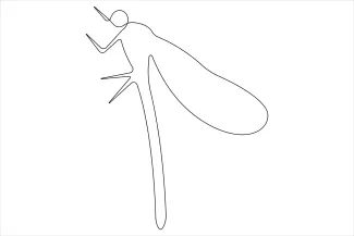 Dragonfly Easy One-Line Dragonfly Drawing: Perfect for Learning Balanced Insect Forms