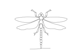 Dragonfly One-Line Dragonfly Drawing: Learn Wing Alignment and Body Length in One Step