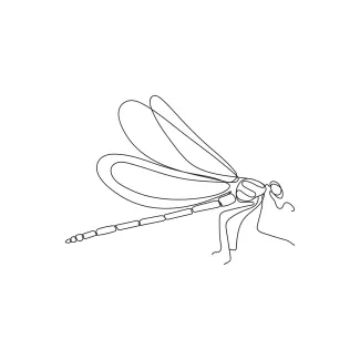 Dragonfly Easy One-Line Dragonfly Sketch: Discover Insect Proportions Through Minimal Art
