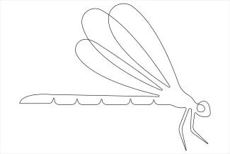 Dragonfly Dragonfly in One Line: Explore Insect Form with Easy Drawing Flow