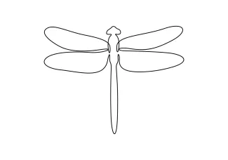 Dragonfly One-Line Dragonfly Drawing: Build Confidence Through Simple Wing and Body Practice