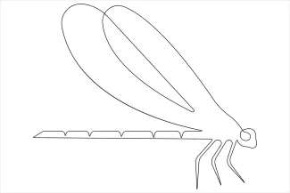 Dragonfly Easy One-Line Dragonfly Sketch: Explore Basic Insect Form and Drawing Precision