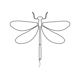 Dragonfly Dragonfly One-Line Drawing: Simple Art to Learn Line Balance and Shape Placement