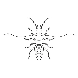 Earwig Earwig in One Line: Discover Insect Shape with a Simple Drawing Practice