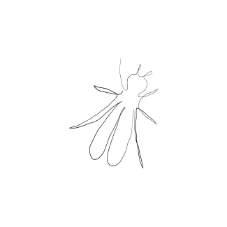 Fly One-Line Fly Drawing: Simple Exercise to Learn Proportions and Body Parts