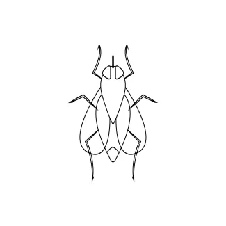 Fly One-Line Fly Drawing: Learn Insect Form with Quick, Easy Drawing Practice