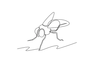 Fly One-Line Fly Drawing: A Quick Way to Learn Tiny Body Details
