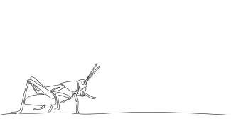 Grasshopper One-Line Grasshopper Drawing: Practice Movement and Shape with Simple Lines