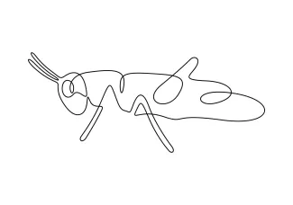 Grasshopper Grasshopper in One Line: Develop Insect Drawing Skills Through Simple Form Practice