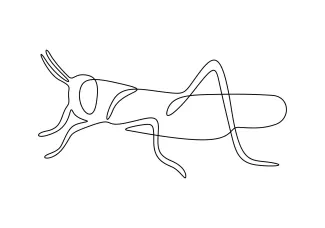 Grasshopper Practice Insect Art with One-Line Grasshopper Drawing: Build Confidence with Shape Layout