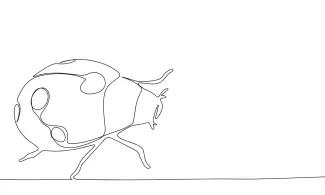 Ladybug One-Line Ladybug Drawing: Simple Practice for Young Artists and Beginners