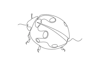 Ladybug One-Line Ladybug Drawing: Easy Way to Learn Shape and Proportion in Insects