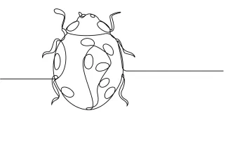 Ladybug Simple Ladybug Drawing in One Line: Learn Basic Shape Alignment and Spacing