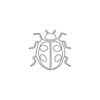 Adorable ladybug Adorable Ladybug in One Line: Fun and Simple Drawing for Young Artists
