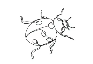 Ladybug Easy One-Line Ladybug Drawing: Great for Practicing Visual Balance and Simplicity