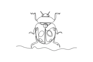 Ladybug Ladybug in One Line: A Simple Drawing to Learn Curves and Balance