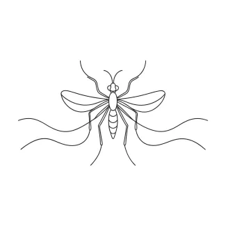 Mosquito Mosquito Drawing in One Line: Practice Long Shapes with Simple Insect Forms