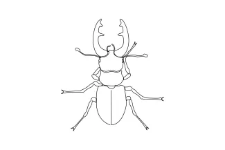 Stag beetle Stag Beetle in One Line: Learn to Draw Bold Insect Features Simply