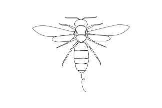 Wasp One-Line Wasp Drawing: Explore Insect Features with Minimal Shapes