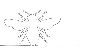 Wasp Wasp in One Line: Learn How to Draw Sharp Shapes and Structure Simply