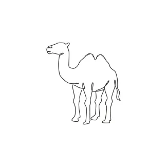 Desert Arabian Camel One Line Arabian Camel Drawing: Explore Desert Animals the Easy Way
