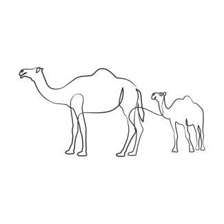 Camel Beginner-Friendly Camel One-Line Drawing: Understand Animal Form Through Simplicity