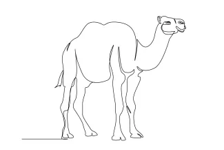 Camel One-Line Camel Drawing: Learn Simple Desert Animal Shapes