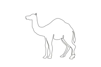 Desert Arabic Camel One Line Camel Drawing: Study Desert Animal Shapes in Simple Form
