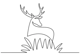 Simple Deer Drawing in One Line: Learn Forest Animal Shapes Step-by-Step
