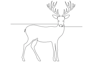 Wild Deer Draw a Wild Deer in One Line: Simple Forest Scene Practice for Beginners