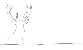 Head Of Deer "One-Line Deer Head Illustration: A Minimalist Approach to Strong and Iconic Wildlife Forms"
