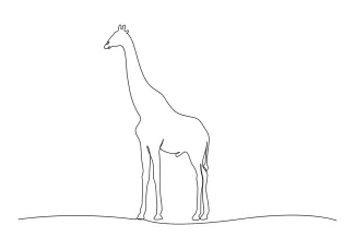 "Minimalist Giraffe Sketch: A One-Line Study of Wildlife Elegance"