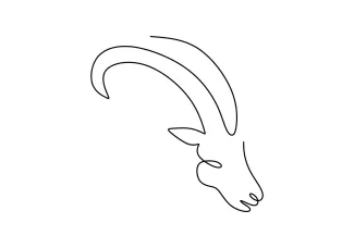 Goat Head One-Line Goat Head Drawing: Practice Recognizing Facial Features in Simple Animal Art