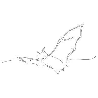 Draw a Flying Bat in One Line: Fun and Spooky Practice for All Ages