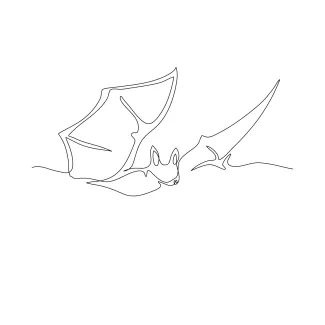 Flying Bat in One Line Drawing: A Simple Way to Practice Wings and Shape