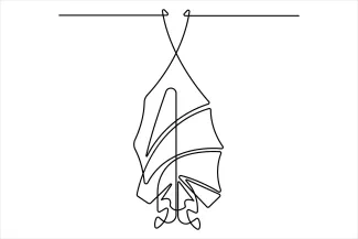 Halloween Bat One Line Drawing: Fun and Spooky Art for Kids