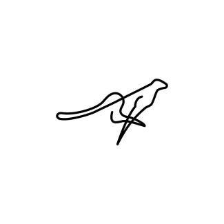 "Continuous Line Leopard Drawing: A Simple Approach to Capturing Strength and Agility"