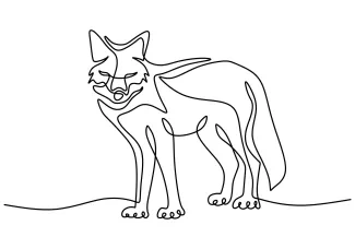 "Minimalist Fox Drawing: Depicting a Clever and Elegant Animal with One Line Art"
