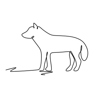 Arctic Wolf Drawing in One Line: Cold Climate Predator Made Simple