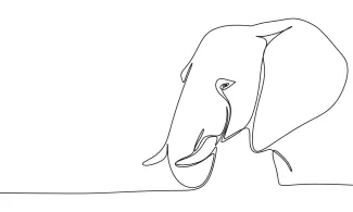 Elephant Head Elephant Head One-Line Drawing: Practice Facial Features with Minimal Lines