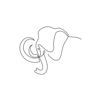 Big Mammoth Head One-Line Mammoth Head Drawing: Explore Prehistoric Features with Simple Lines
