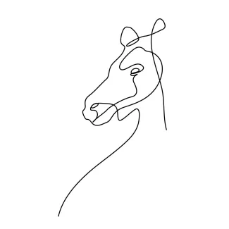 Horse Head Simple One Line Drawing of a Horse Head for Easy Art Skill Practice