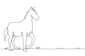 Arabian Stallion Galloping Arabian Stallion in One Line: Dynamic Drawing for Learning Motion