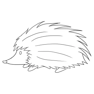 Cute Hedgehog "Minimalist Hedgehog Drawing: Capturing a Playful and Spiky Animal in One Stroke"