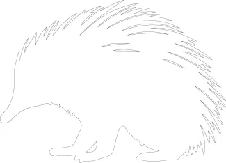 Echidna / Spiny Anteater "Minimalist Echidna Drawing: Sketching a Unique Mammal with One Continuous Line"