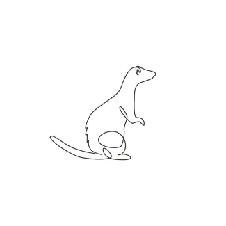 Ferret One Line Ferret Drawing: Learn to Draw Long, Flexible Animal Bodies