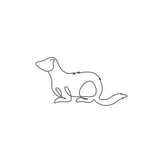 Ferret Easy Ferret Drawing with One Line: Great Practice for Animal Proportions