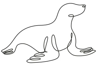Seal One Line Seal Drawing for Practicing Marine Animal Forms